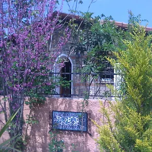  Tatil Evi Fig Garden
